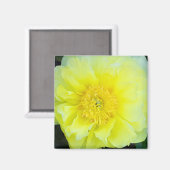 Aimant Pivoine jaune (Recto/Verso)