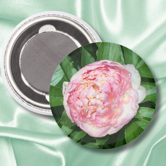 Aimant Pivoine Prête à Fleurir