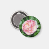 Aimant Pivoine Prête à Fleurir (Recto/Verso)