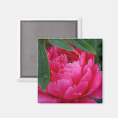 Aimant Pivoine Rose Timide (Recto/Verso)