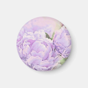Aimant Pivoines de lavande