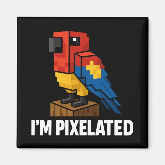 Aimant Pixel Pixel Pixel Pixel Parrot Pixelé De La Jungle (Devant)