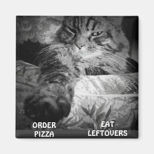 AIMANT PIZZA OU RESTES ?