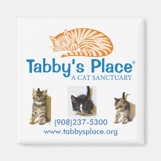 Aimant Place de Tabby (Devant)