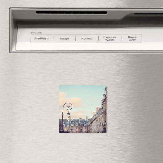 Aimant Place des Vosges Paris (In Situ (Lave-vaisselle))