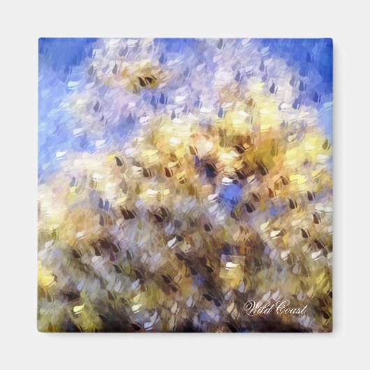 AIMANT PLAGE (Devant)