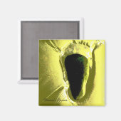 AIMANT PLAGE (Recto/Verso)