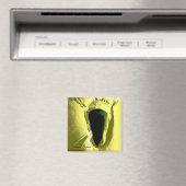 AIMANT PLAGE (In Situ (Lave-vaisselle))