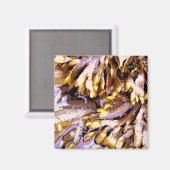 AIMANT PLAGE (Recto/Verso)