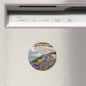 Aimant Plage À La Jolla Cove (In Situ (Lave-vaisselle))