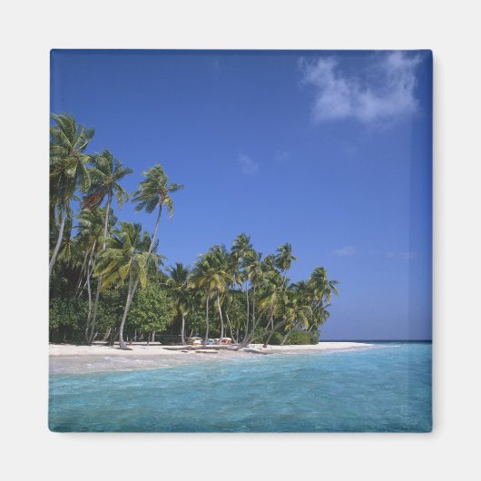 Aimant Plage avec palmiers, Maldives (Devant)