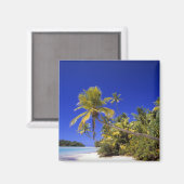 Aimant Plage bordée de palmiers Cook Islands 7 (Recto/Verso)