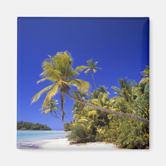 Aimant Plage bordée de palmiers Cook Islands 7 (Devant)