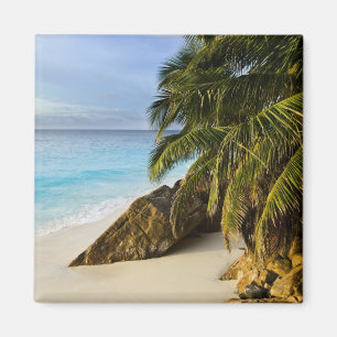 Aimant Plage d'Ansi Victorin