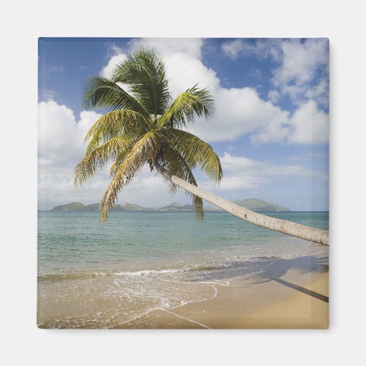 Aimant Plage de Coconut Grove à Cades Bay, avec St. (Devant)