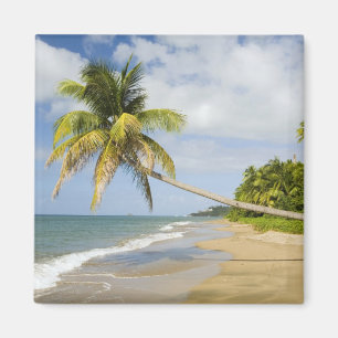 Aimant Plage de Coconut Grove à Cades Bay, avec St. 2