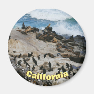 Aimant Plage de la Californie