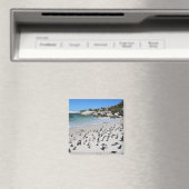 Aimant Plage de Penguins Boulders | Afrique du Sud (In Situ (Lave-vaisselle))