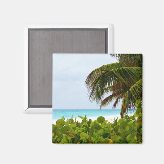 AIMANT PLAGE DES CARAÏBES - BARBADOS (Recto/Verso)