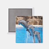 Aimant Plage Dolphin Water Plage Tropical Paradis Island  (Recto/Verso)