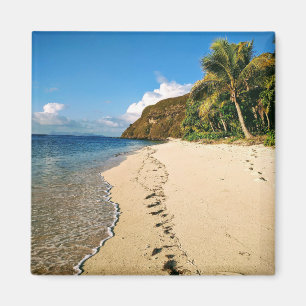 Aimant Plage d'une île aux Fidji