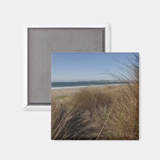 Aimant Plage Limantour à Point Reyes National Seashore I (Recto/Verso)