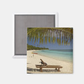 Aimant Plage, palmiers et transat (Recto/Verso)