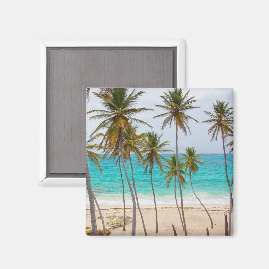 Aimant Plage tropicale colorée (Recto/Verso)