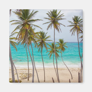 Aimant Plage tropicale colorée