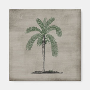 Aimant Plage tropicale Palm Vintage
