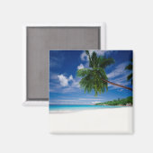 Aimant Plage tropicale | Seychelles (Recto/Verso)