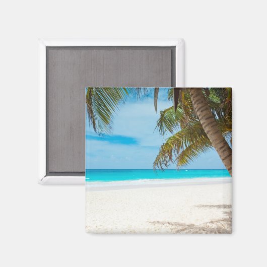 Aimant Plage tropicale Turquoise (Recto/Verso)