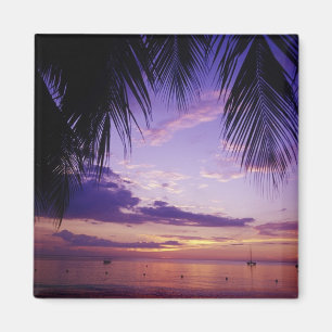 Aimant Plages de Negril, Jamaïque 2