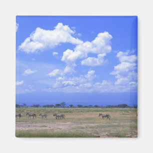 Aimant Plaine herbeuse