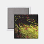 Aimant Plan de la barre (Recto/Verso)