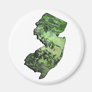 Aimant Plan de l'État forestier du New Jersey