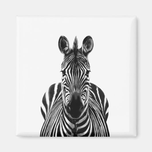 Aimant Plan de sauvegarde III (Devant)