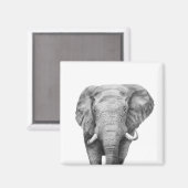 Aimant Plan de sauvegarde IV (Recto/Verso)