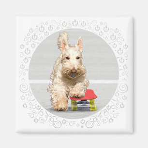 Aimant Planche à roulettes Wheaten Scottish Terrier