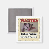 Aimant planeur de sucre voulu (Recto/Verso)