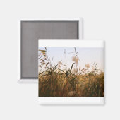 Aimant plante (Recto/Verso)