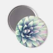 Aimant Plante Agave (Recto/Verso)