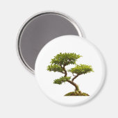 Aimant Plante Bonsai (Recto/Verso)