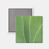 Aimant Plante d'Agave de près (Recto/Verso)