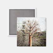 Aimant Plante Ferula sec (Recto/Verso)