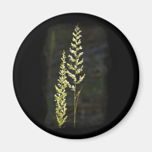 Aimant Plante vert