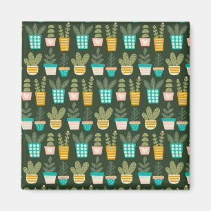 Aimant Plantes succulents
