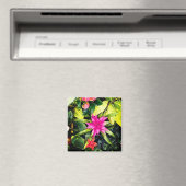 Aimant Plantes tropicaux (In Situ (Lave-vaisselle))