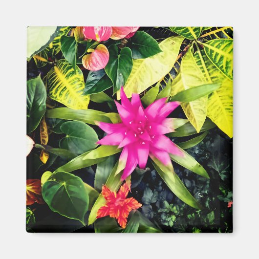 Aimant Plantes tropicaux (Devant)