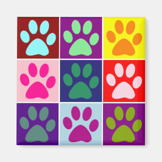 Aimant Plaques multicolores